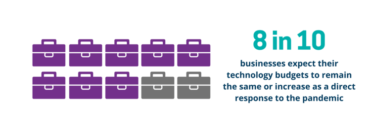technology budgets in the pandemic