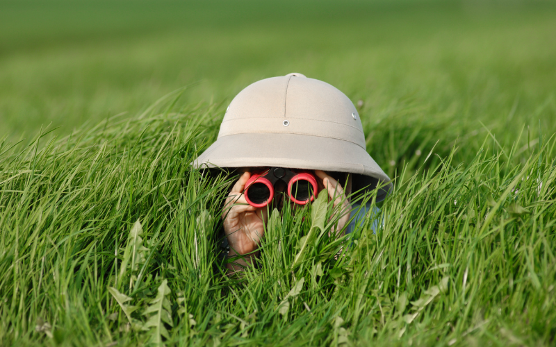 Hunter in the grass