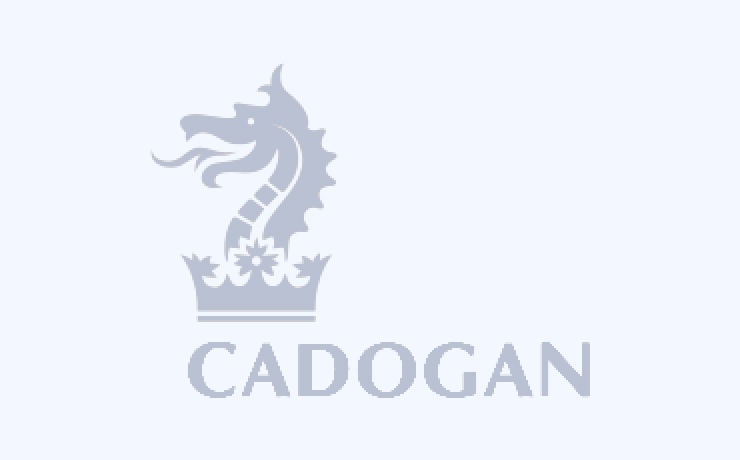 Functioning as Cadogan’s IT department for over a decade